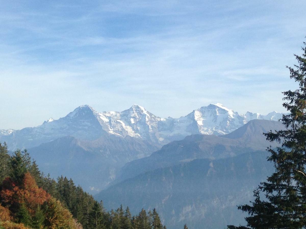 App. Seeblick Top Of Interlaken Беатенберг Экстерьер фото
